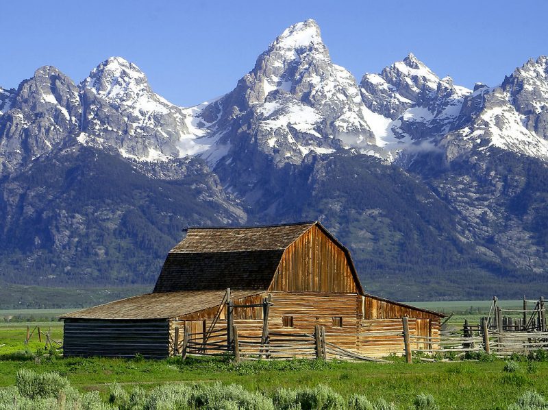 Early-Adopter Spotlight: Jackson Hole, Grand Teton & Yellowstone ...