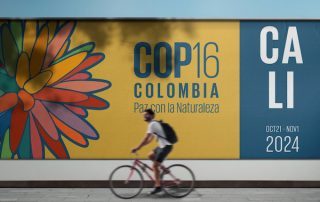 GSTC will be present at the COP16 in Cali, Colombia