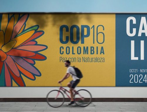 GSTC will be present at the COP16 in Cali, Colombia