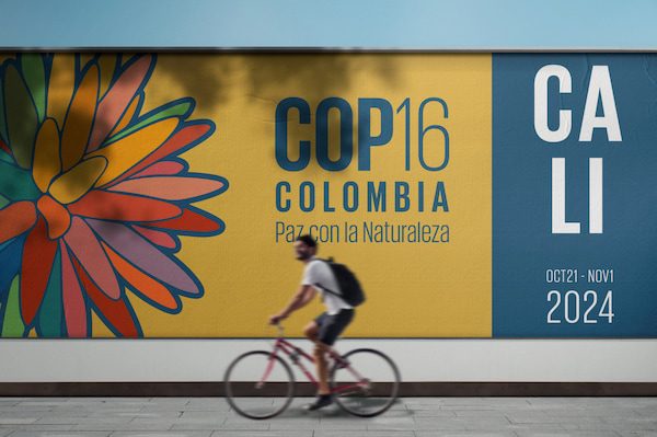 GSTC will be present at the COP16 in Cali, Colombia