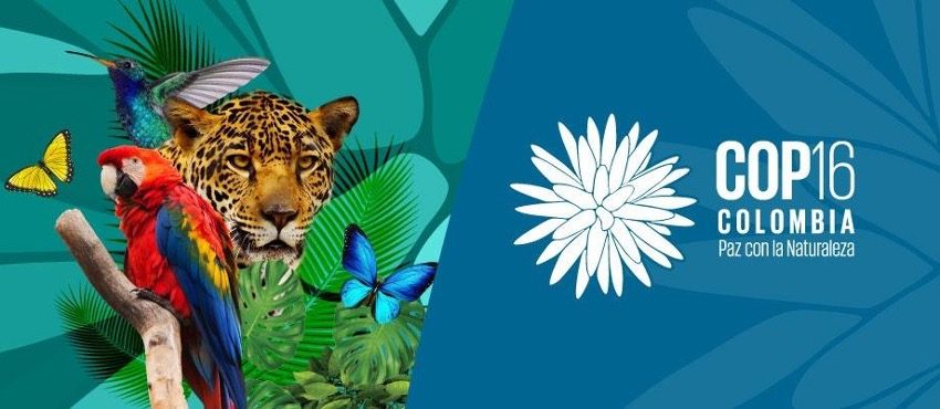 GSTC will be present at the COP16 in Cali, Colombia 