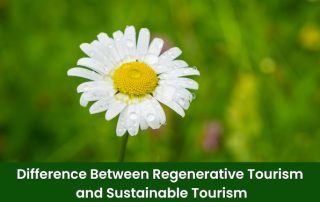 The Difference Between Regenerative Tourism and Sustainable Tourism