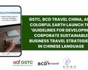 Guidelines for Developing Corporate Sustainable Business Travel Strategies